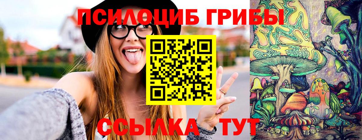 Псилоцибиновые грибы Psilocybine cubensis  Псилоцибиновые грибы прущие грибы  Вход с VPN  Ессентуки 