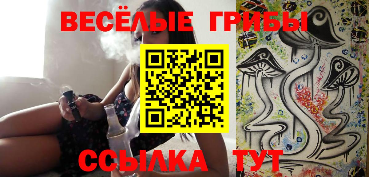 Псилоцибиновые грибы Psilocybe Ессентуки