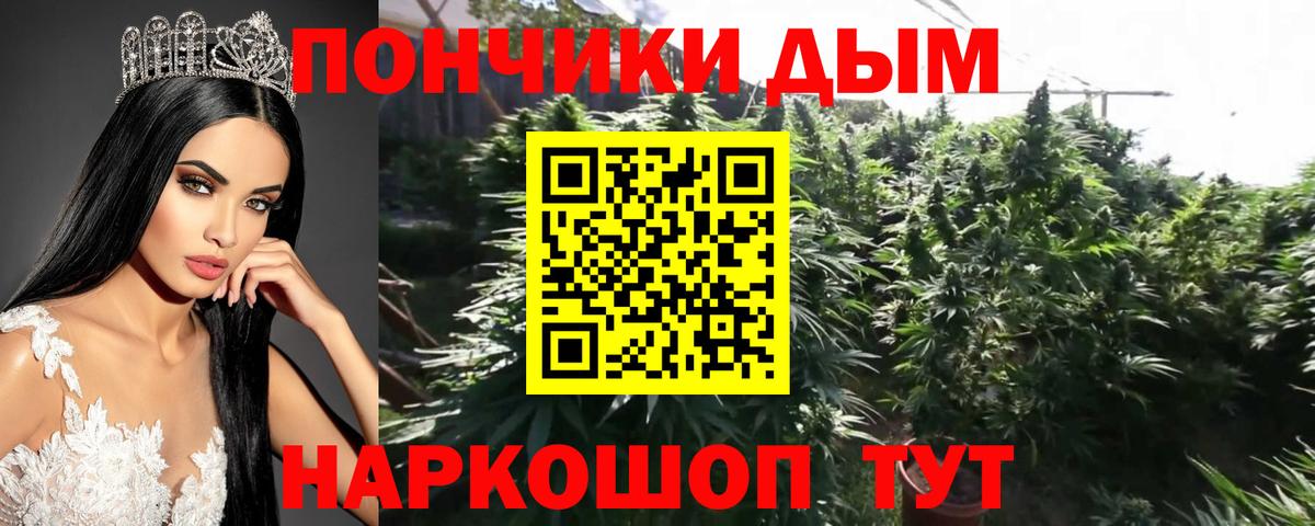 Ессентуки  Бошки Шишки тримм  Вход с VPN  Каннабис LSD WEED  Каннабис марихуана 